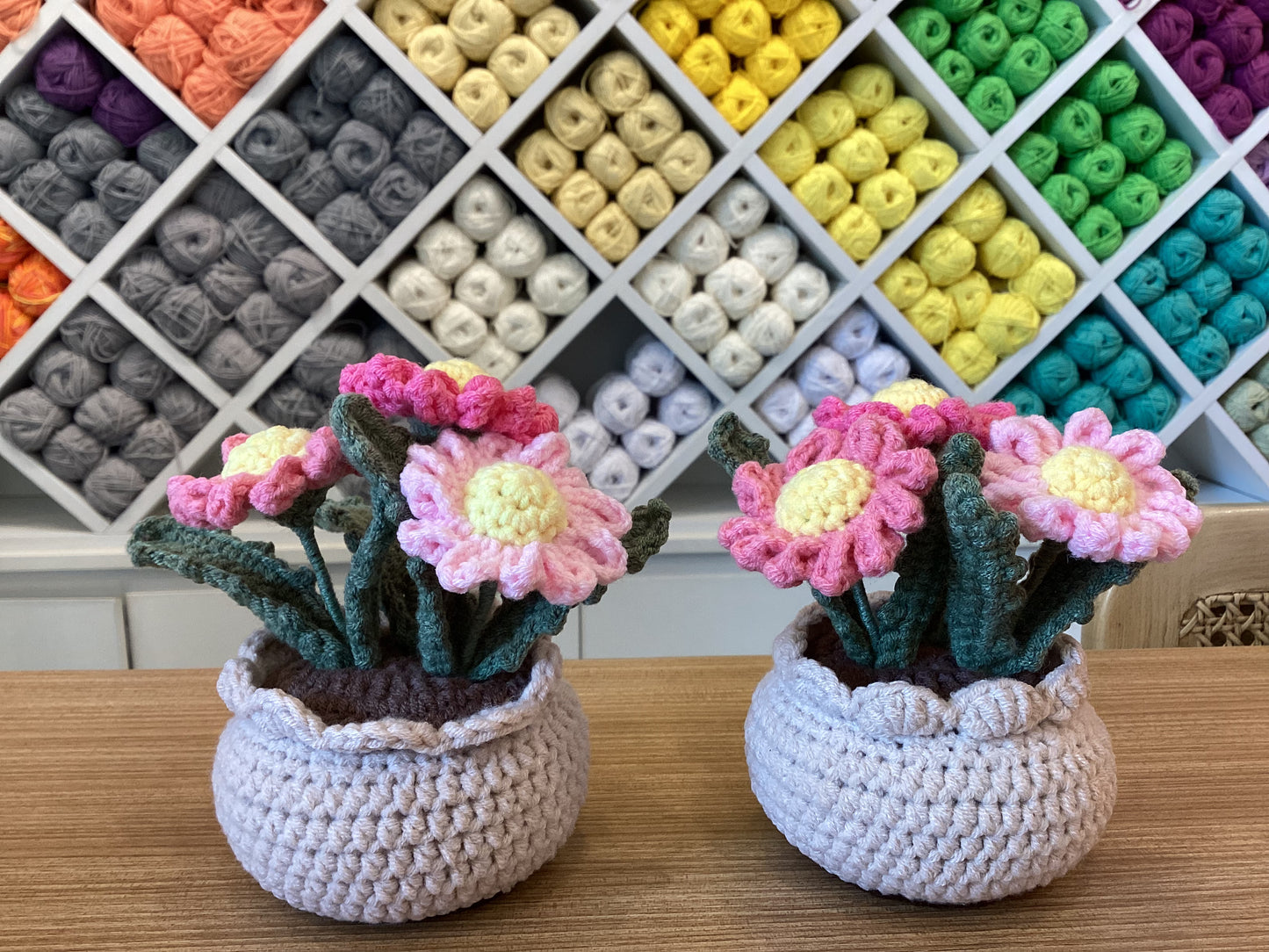 Potted Plants by @crochetstudiocebu