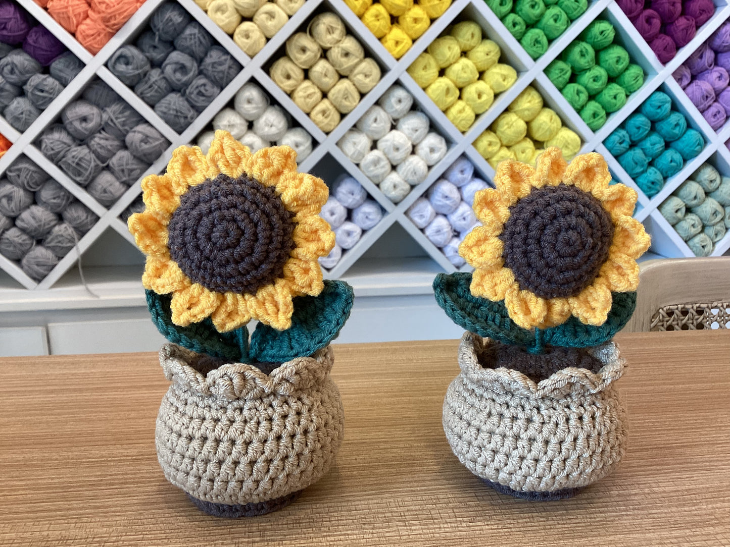 Potted Plants by @crochetstudiocebu