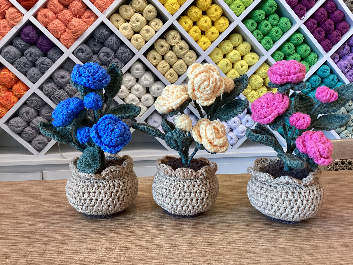 Potted Plants by @crochetstudiocebu