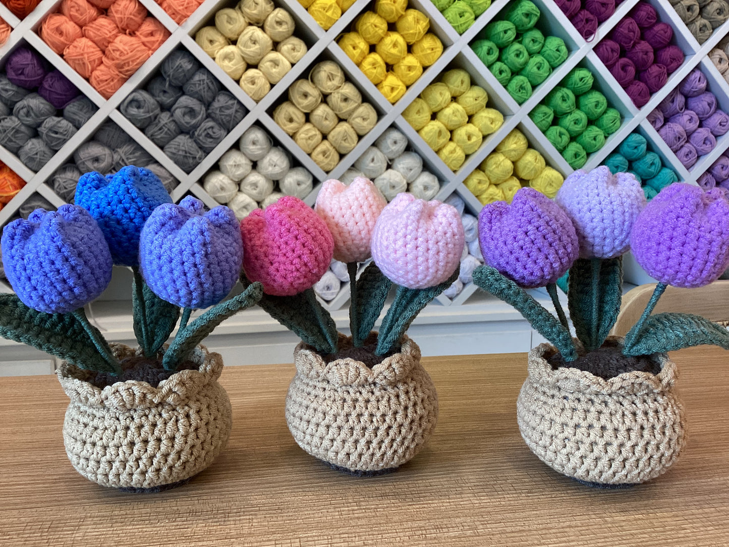 Potted Plants by @crochetstudiocebu