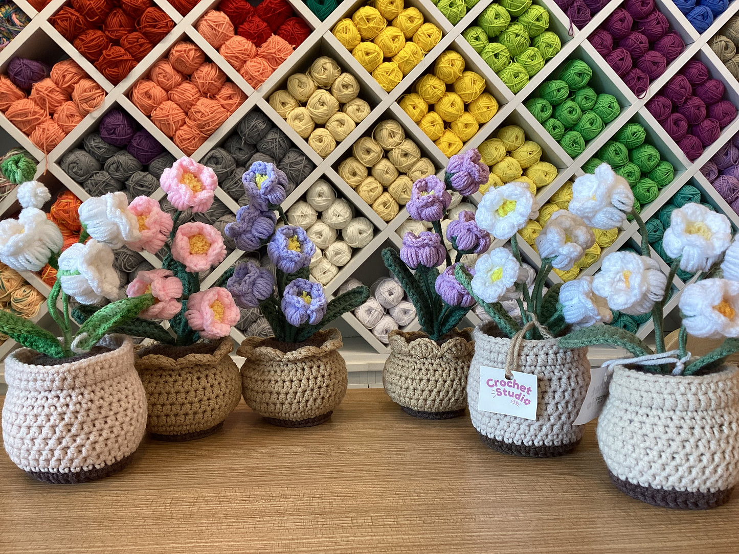 Potted Plants by @crochetstudiocebu