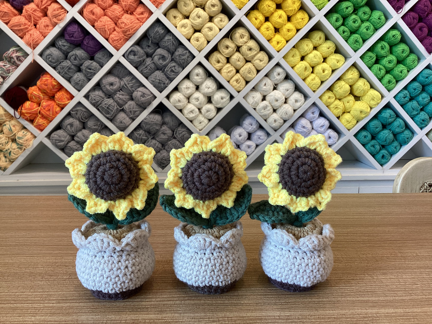 Potted Plants by @crochetstudiocebu