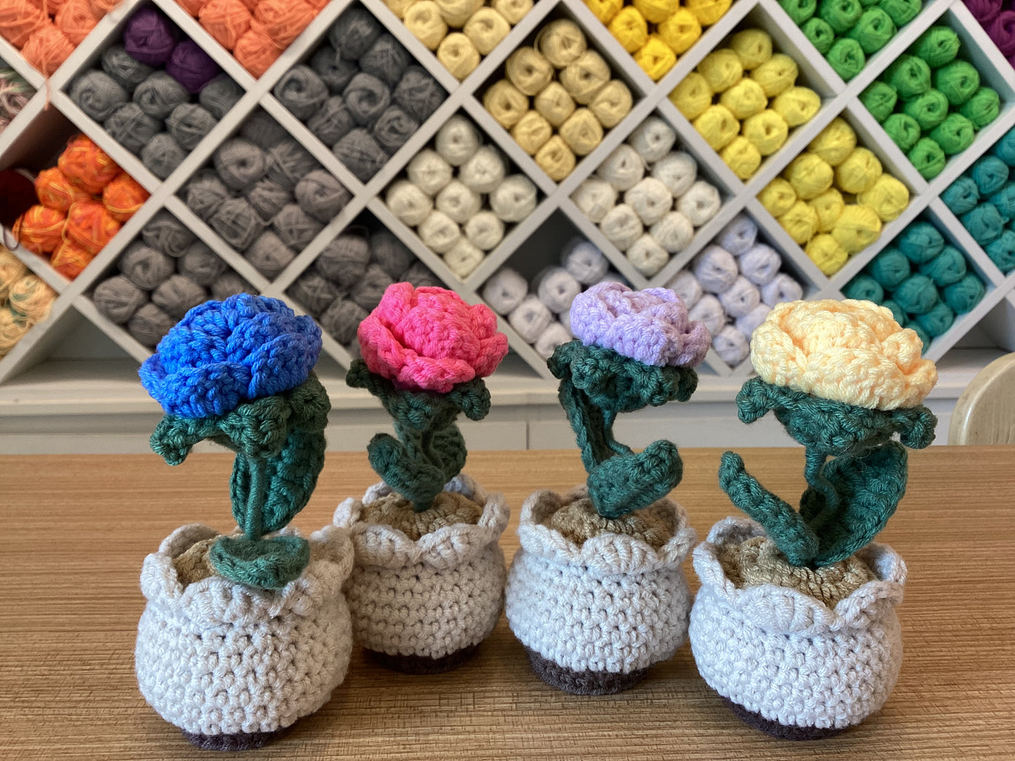 Potted Plants by @crochetstudiocebu