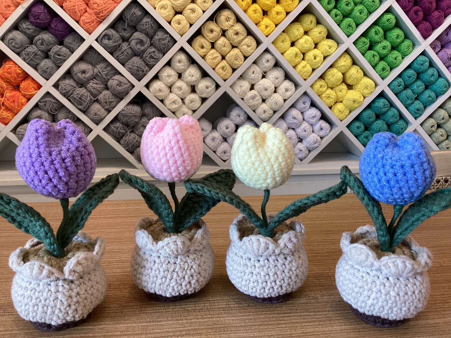 Potted Plants by @crochetstudiocebu