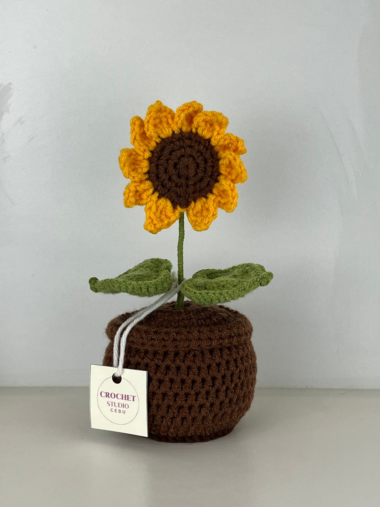 Potted Plants by @crochetstudiocebu