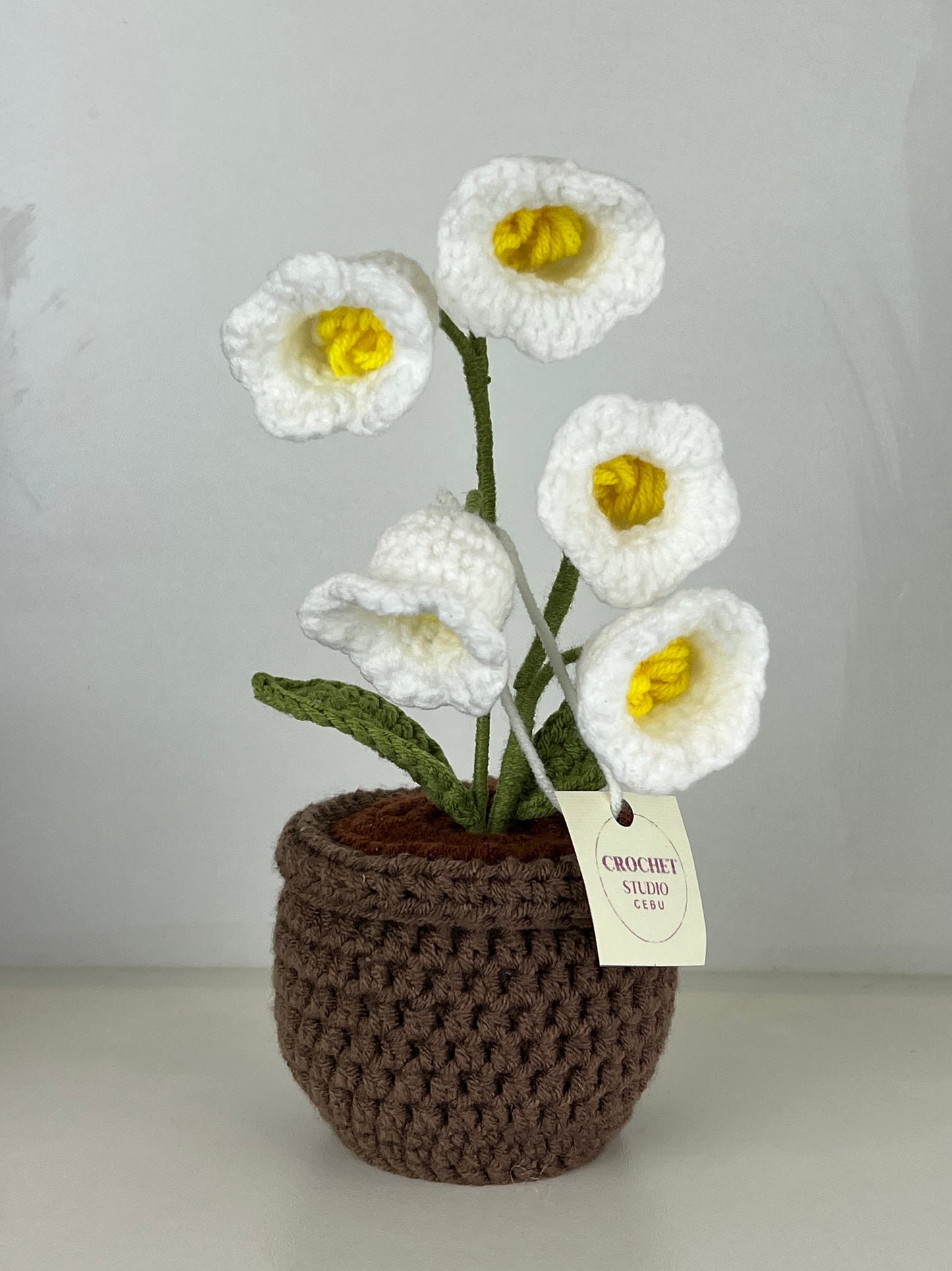 Potted Plants by @crochetstudiocebu