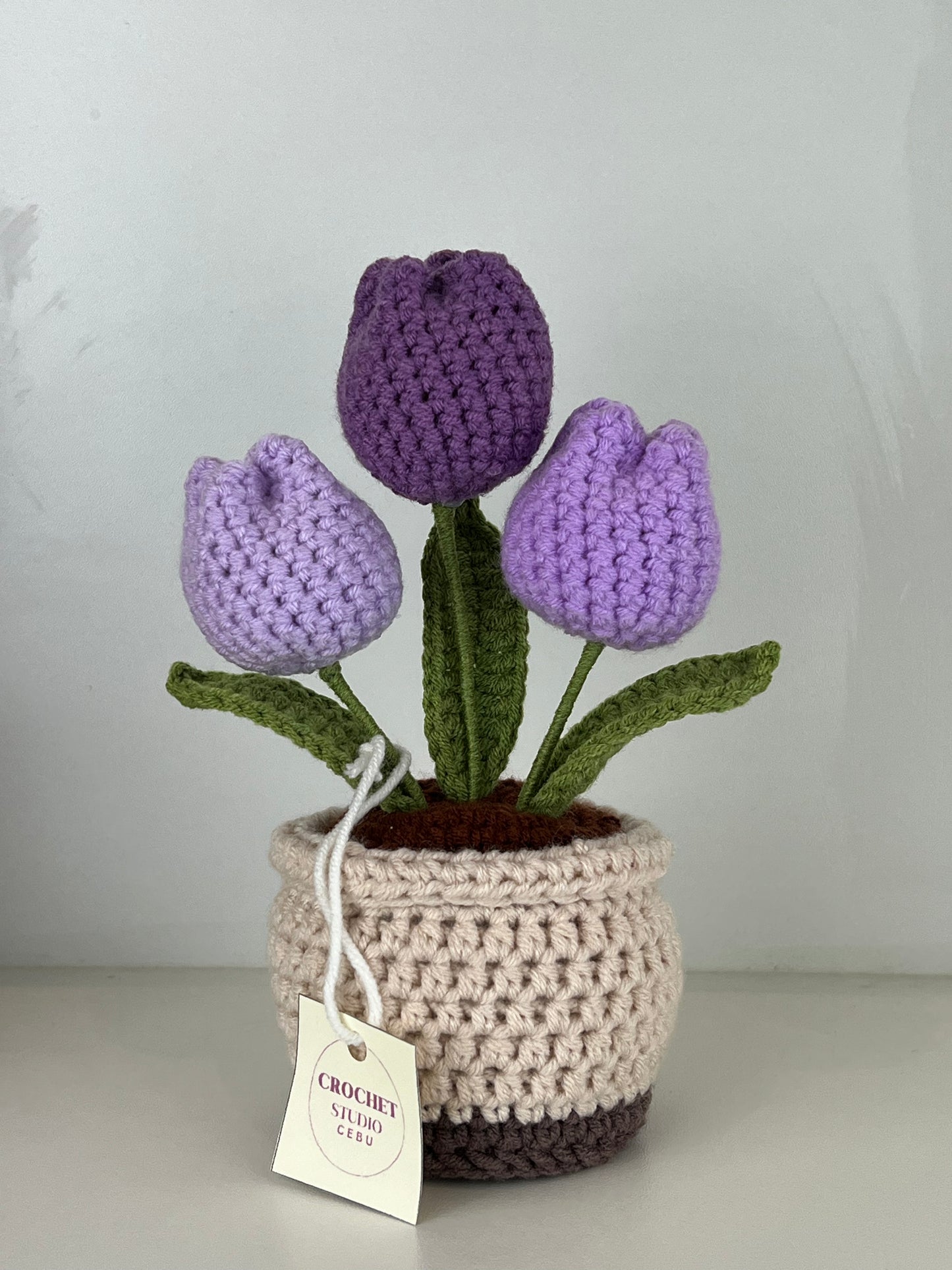 Potted Plants by @crochetstudiocebu