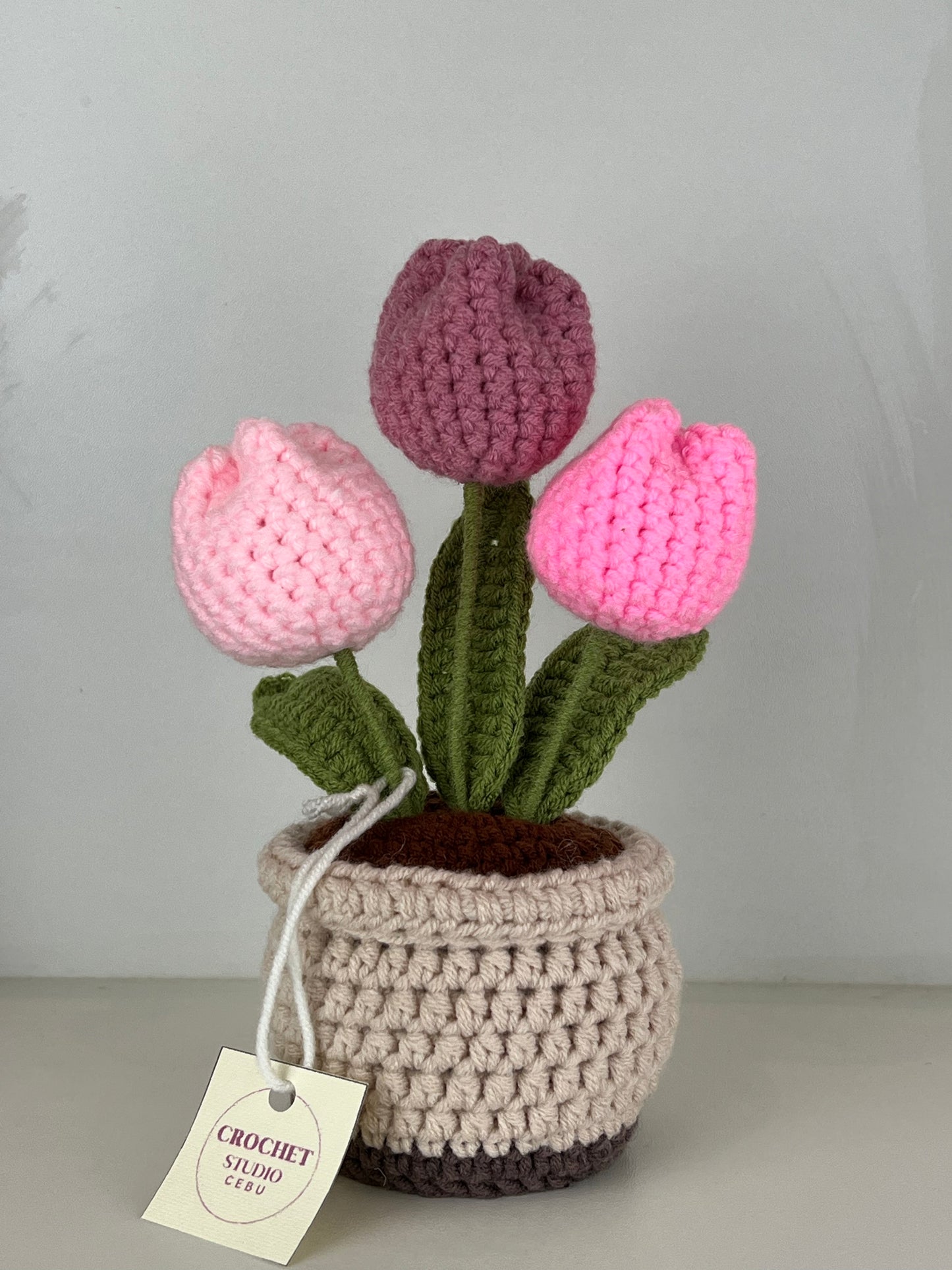 Potted Plants by @crochetstudiocebu