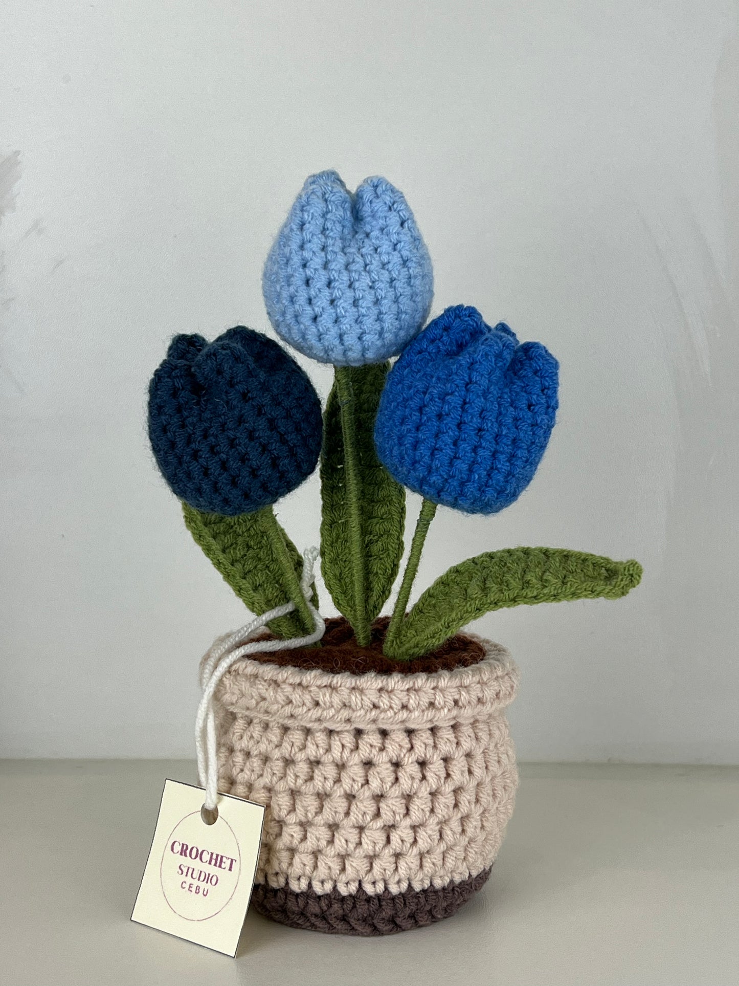 Potted Plants by @crochetstudiocebu