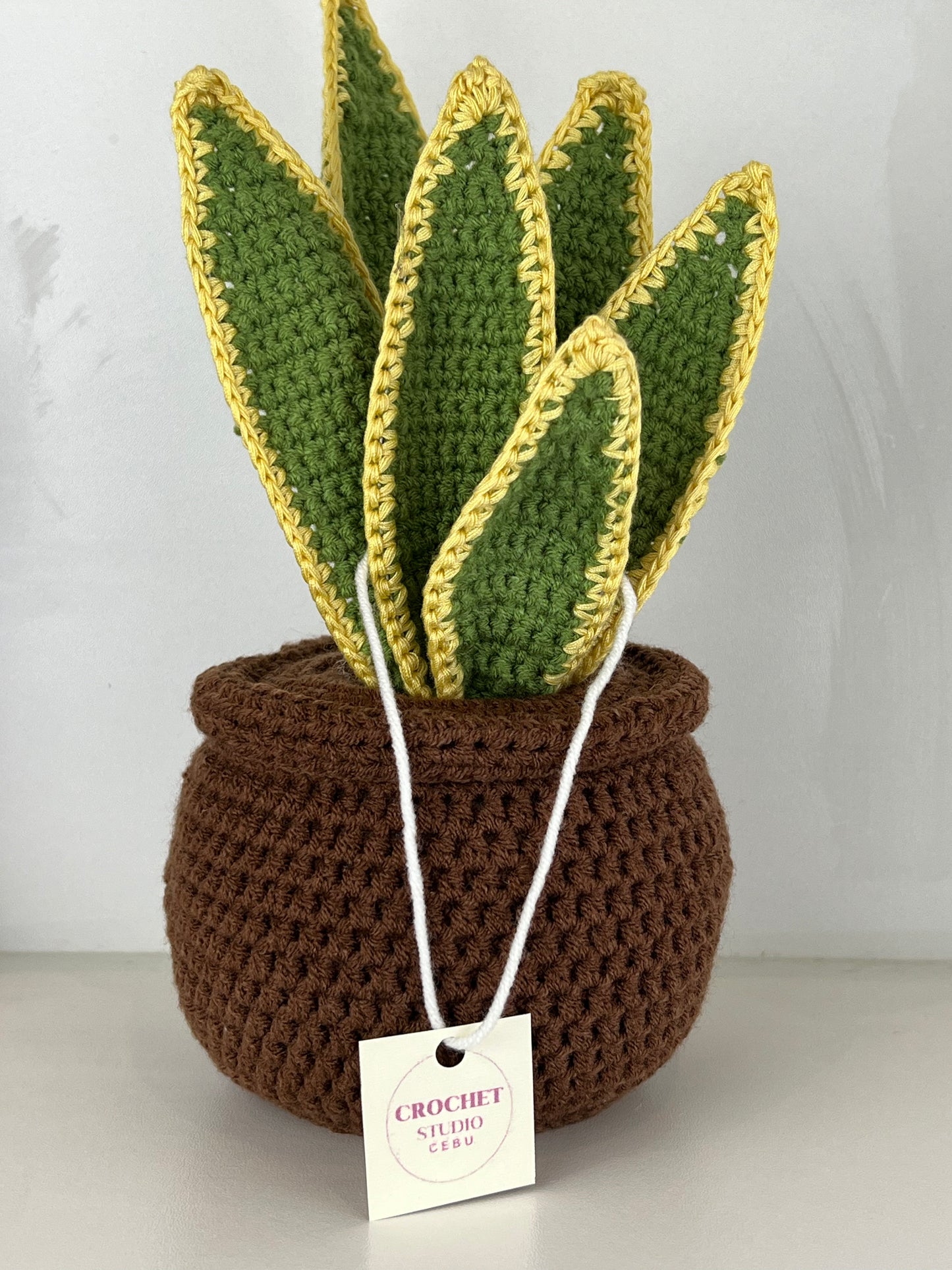 Potted Plants by @crochetstudiocebu