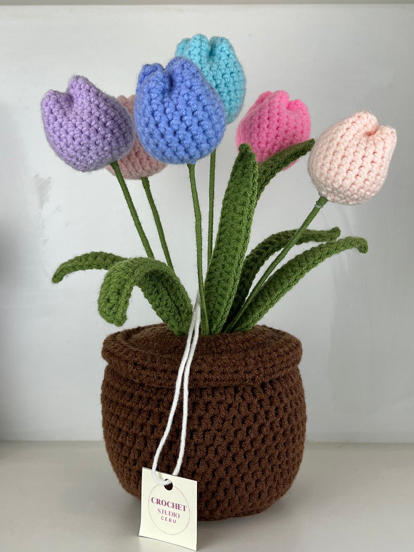 Potted Plants by @crochetstudiocebu