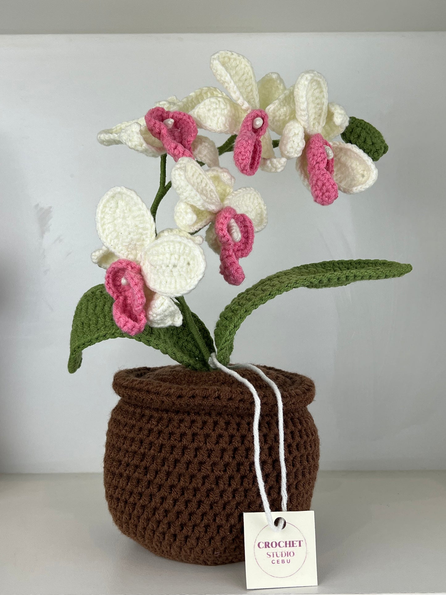 Potted Plants by @crochetstudiocebu
