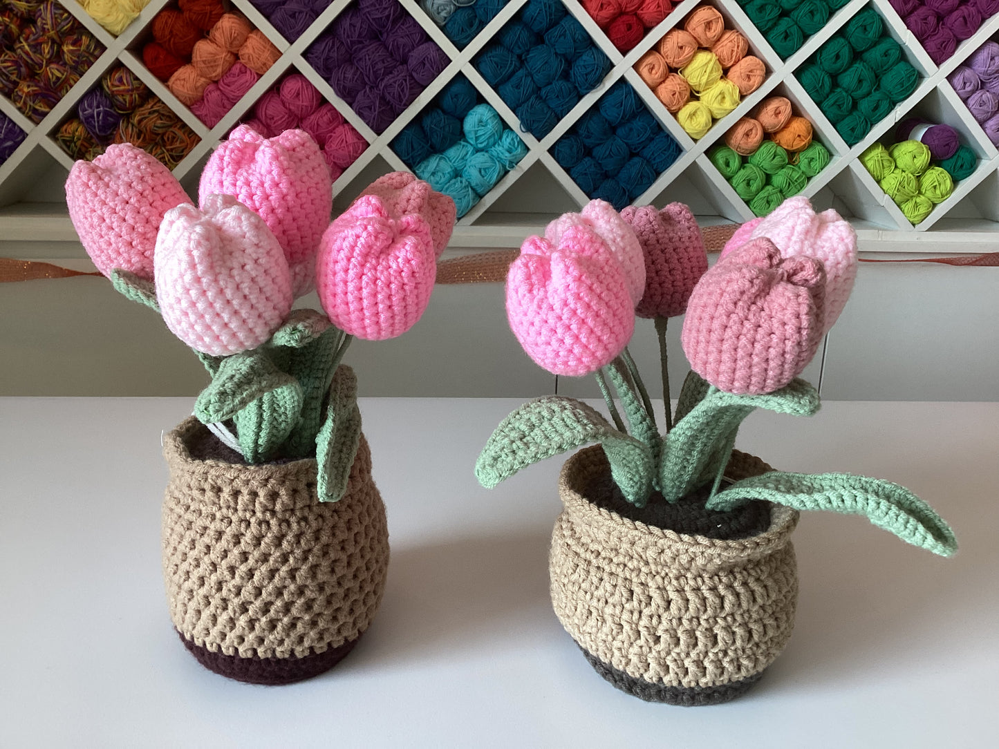 Potted Plants by @crochetstudiocebu