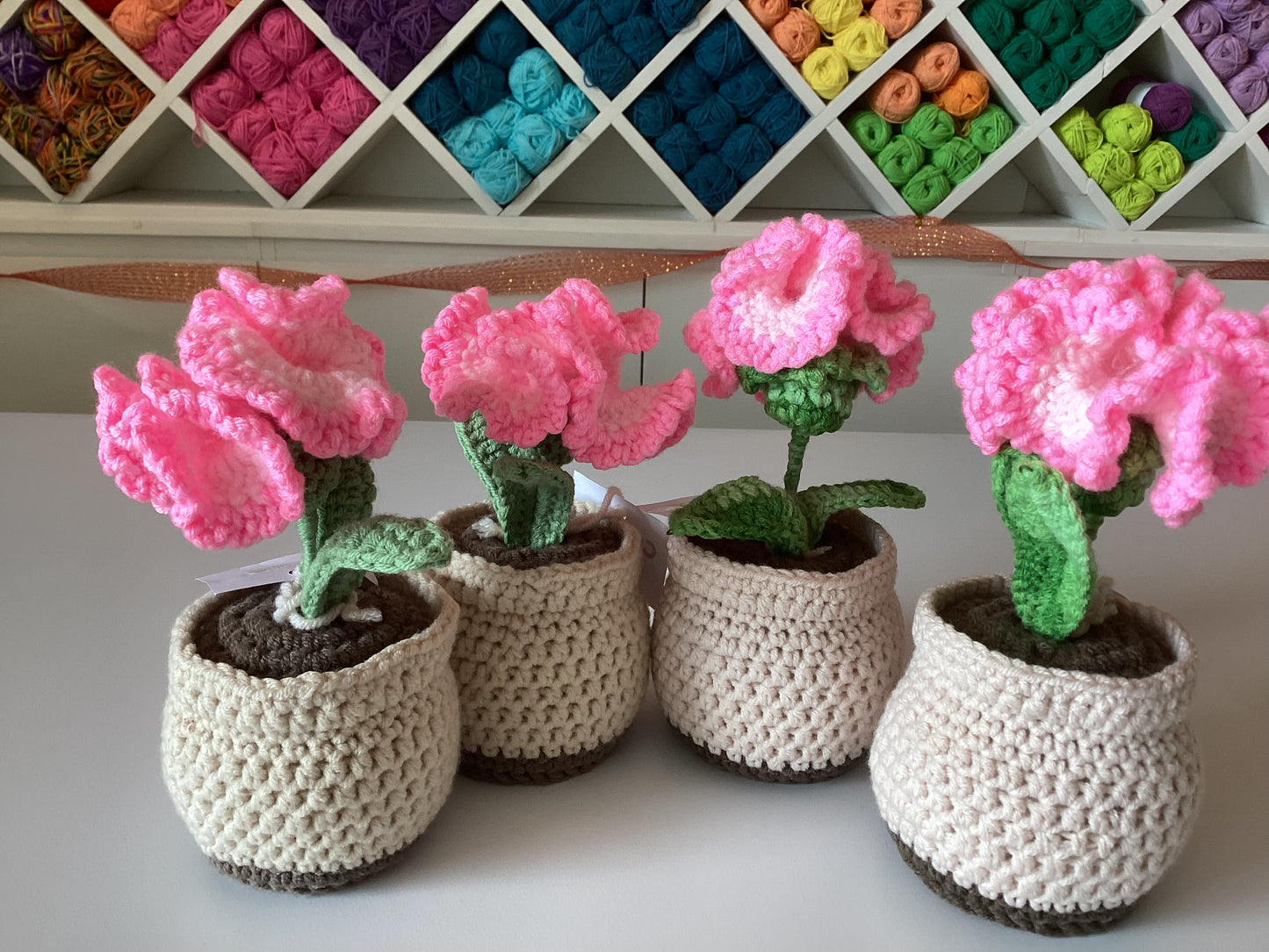 Potted Plants by @crochetstudiocebu