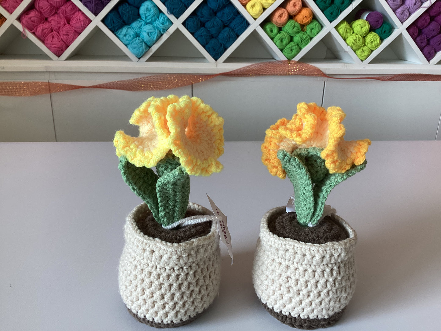 Potted Plants by @crochetstudiocebu