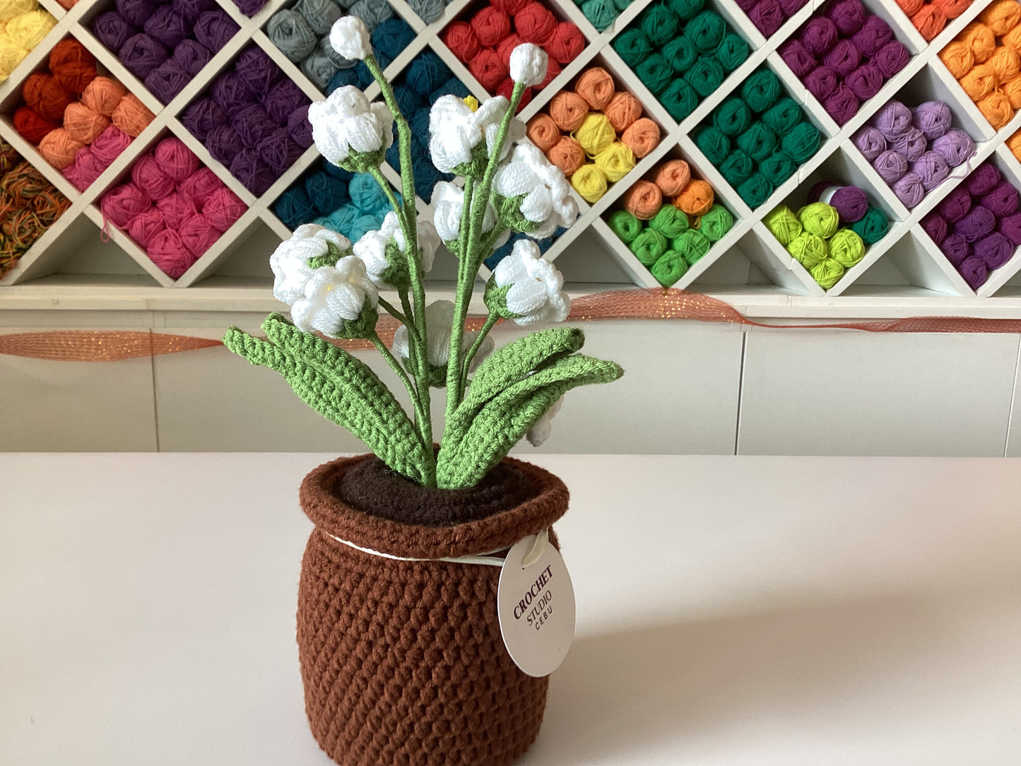 Potted Plants by @crochetstudiocebu