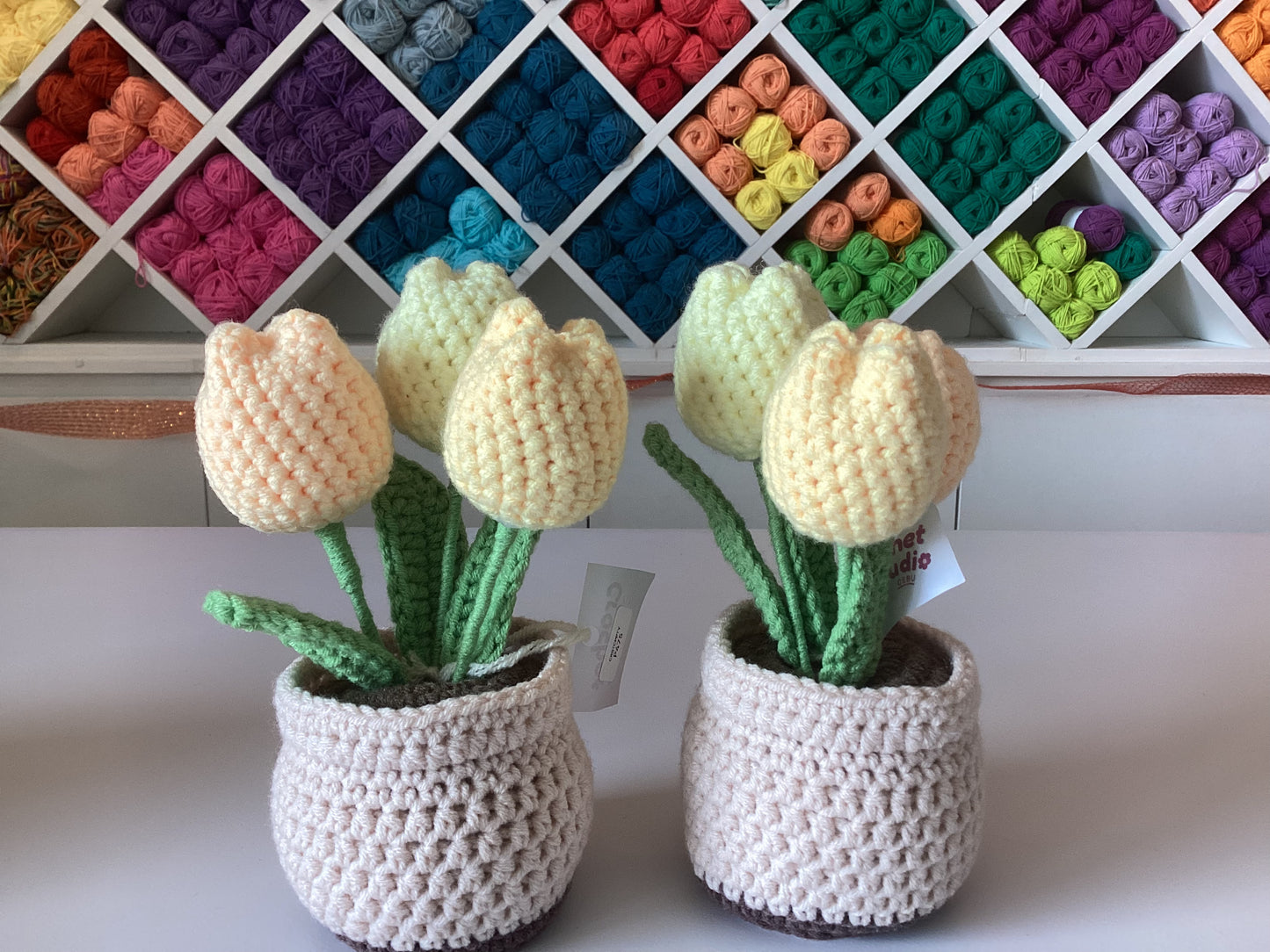 Potted Plants by @crochetstudiocebu