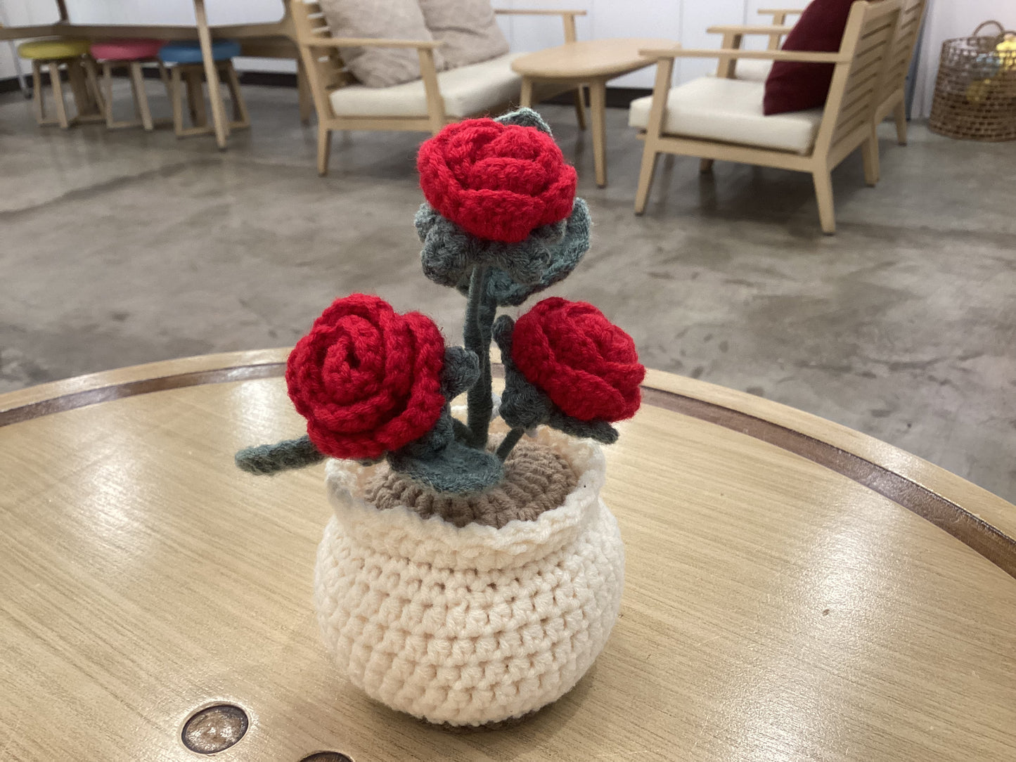 Potted Plants by @crochetstudiocebu