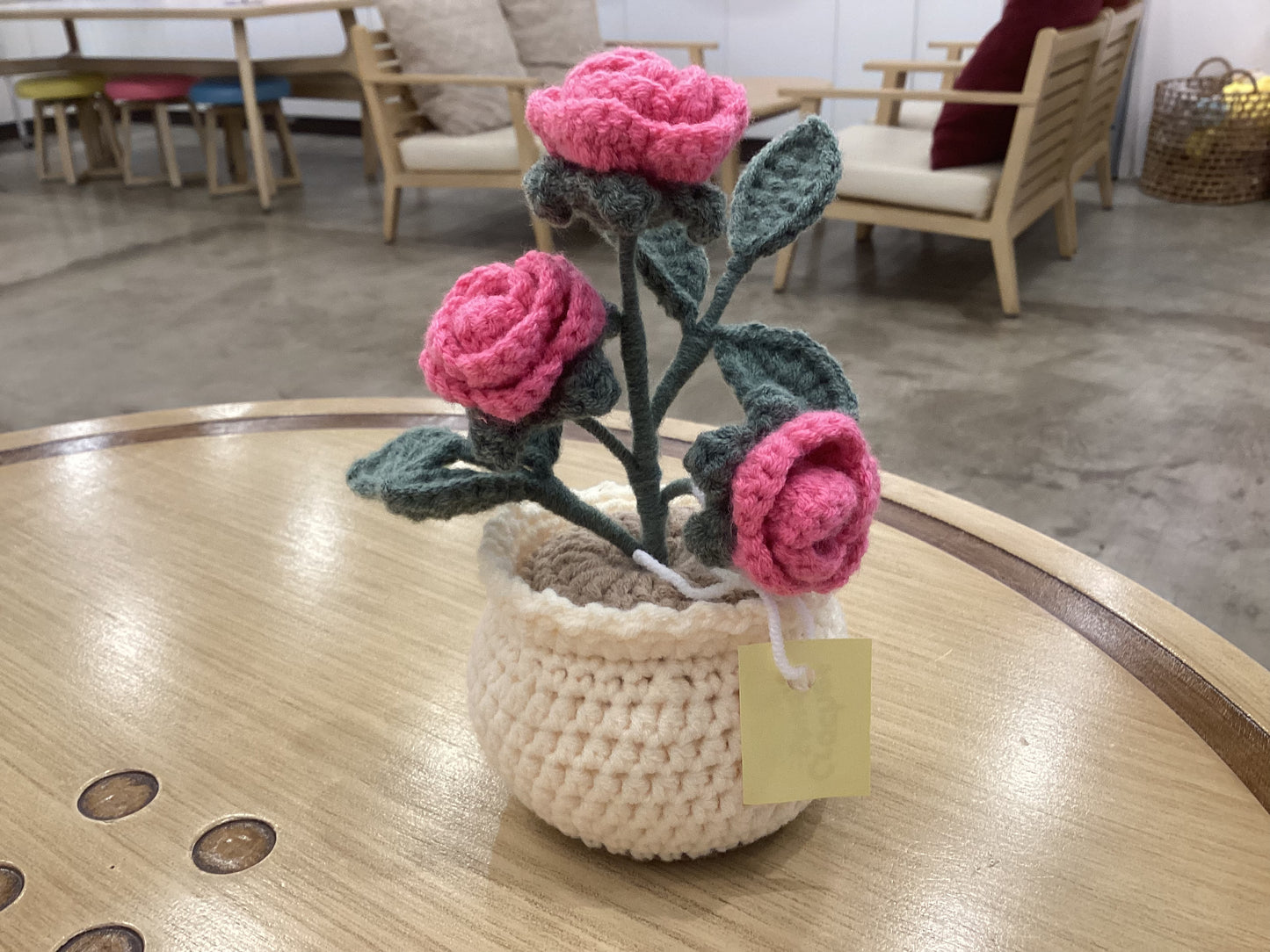 Potted Plants by @crochetstudiocebu