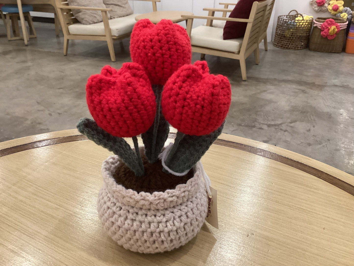 Potted Plants by @crochetstudiocebu