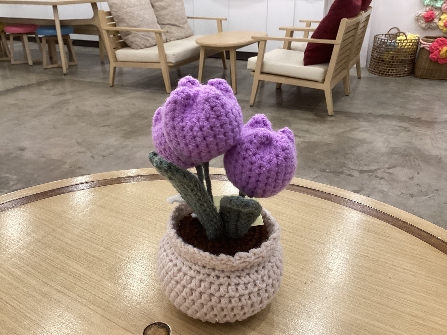 Potted Plants by @crochetstudiocebu